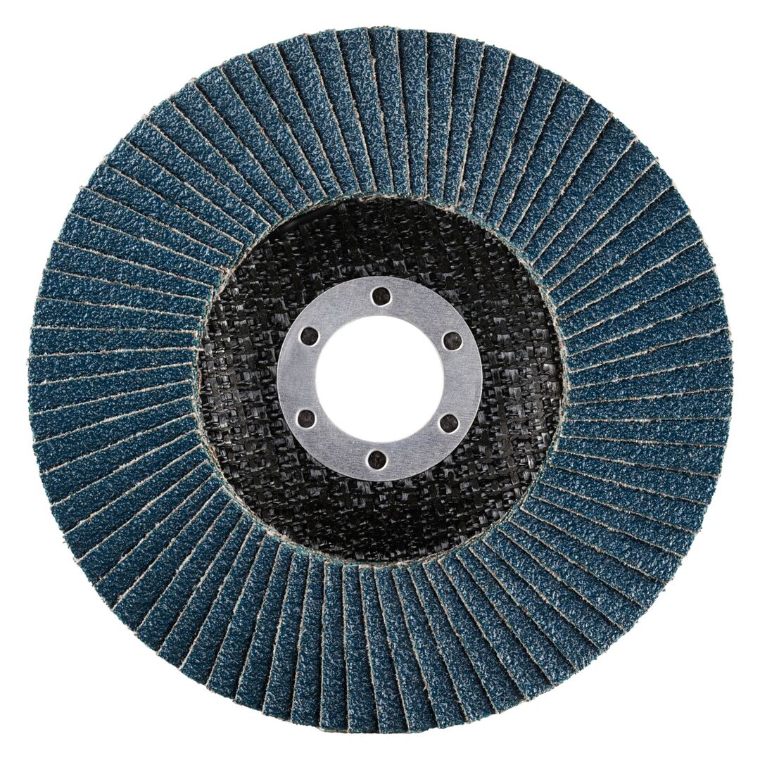 RHODIUS Lamellenschleifsch.LGZ F1 125mm K 60 RHODIUS Lamellenschleifsch.LGZ F1 125mm K 60