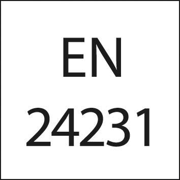 FORMAT Schneideisen EN24231 HSS G3 / 8Z FORMAT Schneideisen EN24231 HSS G3 / 8Z
