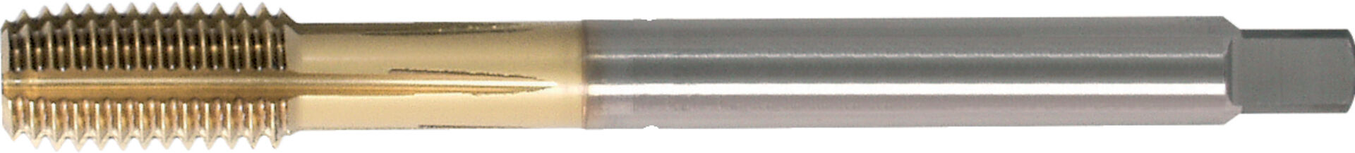 FORMAT Gewindeformer DIN 371 C TIN HSSE M 10 6 GX