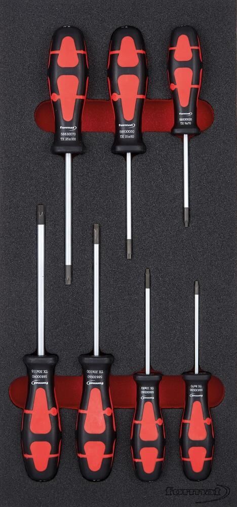 Modul Schraubendr. Torx 1/3                FORMAT