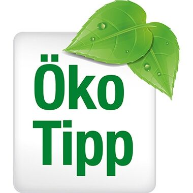 TORK Toilettenpapier Mini Jumbo 110253 2-lagig ws 12 Rl./Pack