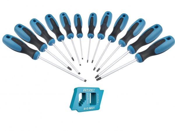 Hazet Schraubendreher-Set 13 tlg. Schlitz,Kreuz,Torx inkl. Magnetisierer
