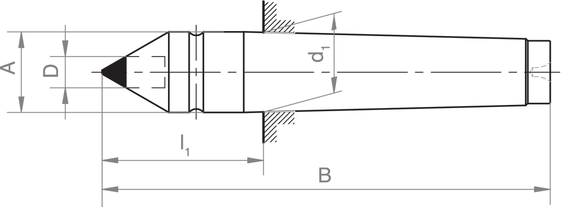 FORMAT Feste Zentrierspitze DIN806 HM-Einsatz MK 2