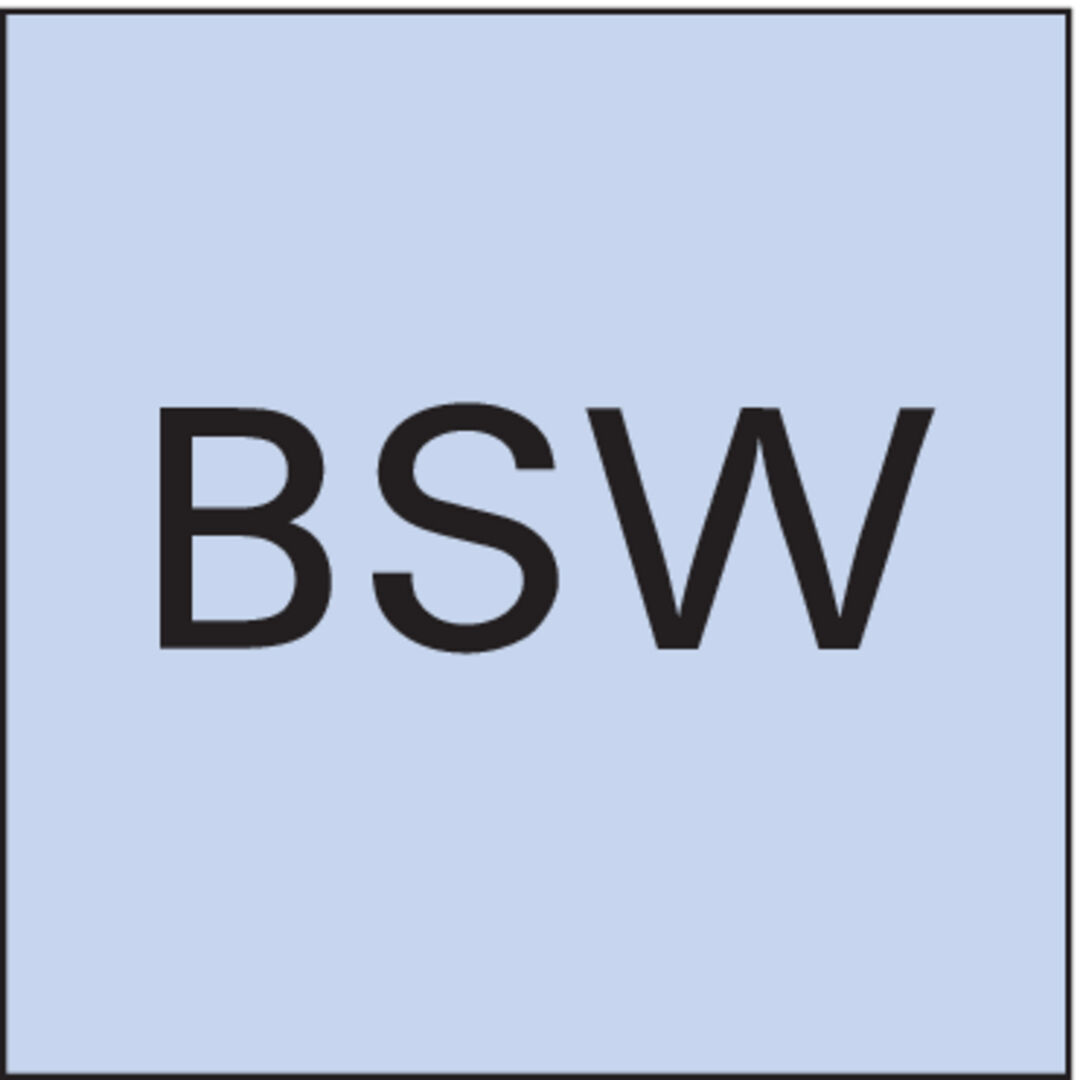 FORMAT Schneideisen EN22568 HSS BSW1 / 4Z FORMAT Schneideisen EN22568 HSS BSW1 / 4Z