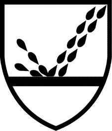 EINWEGANZUG TYCHEM F, GR. L, GRAU EINWEGANZUG TYCHEM F, GR. L, GRAU