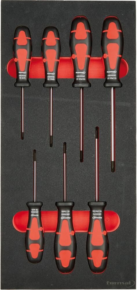 Modul Schraubendr. Torx 1/3                FORMAT