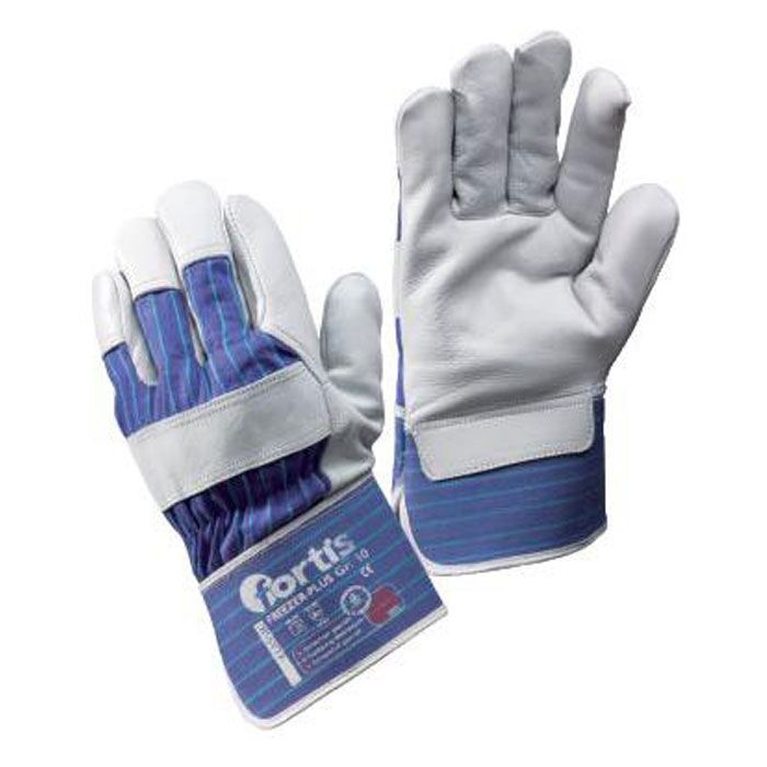 Winterhandsch.FreezerPlus Gr. 12, FORTIS