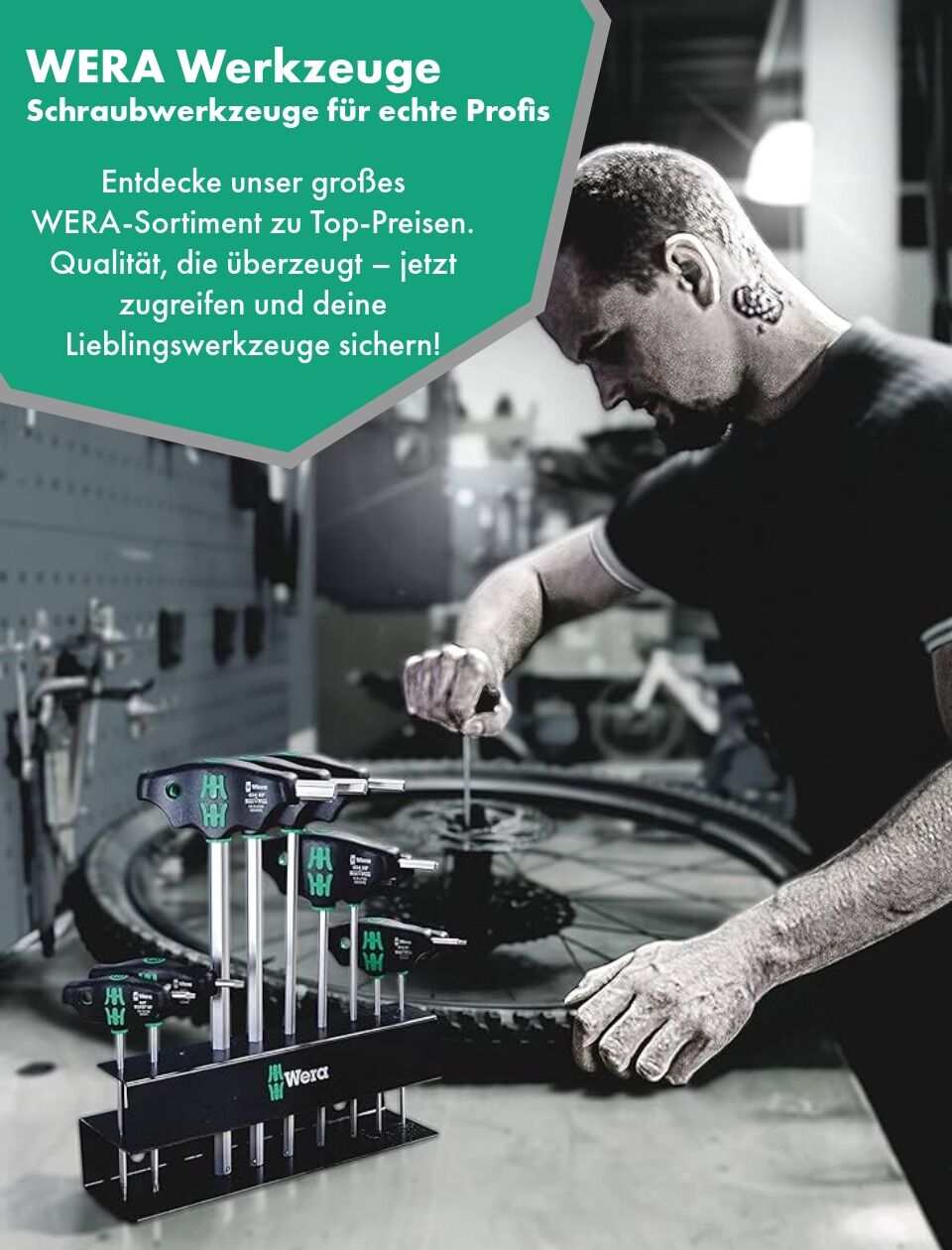 Marketing Banner-1-WERA Promotion Banner