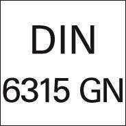 FORMAT Spanneisen DIN6315 GN 9 x 100 mm