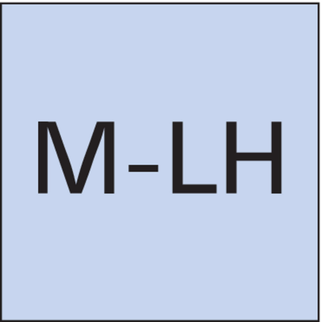 FORMAT Handgewindebohrer DIN352 HSS Links M 12,0 Satz FORMAT Handgewindebohrer DIN352 HSS Links M 12,0 Satz