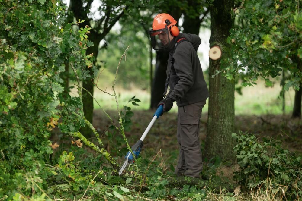BOSCH Akku-Teleskophochentaster GKE 18V-25 TP (solo)
