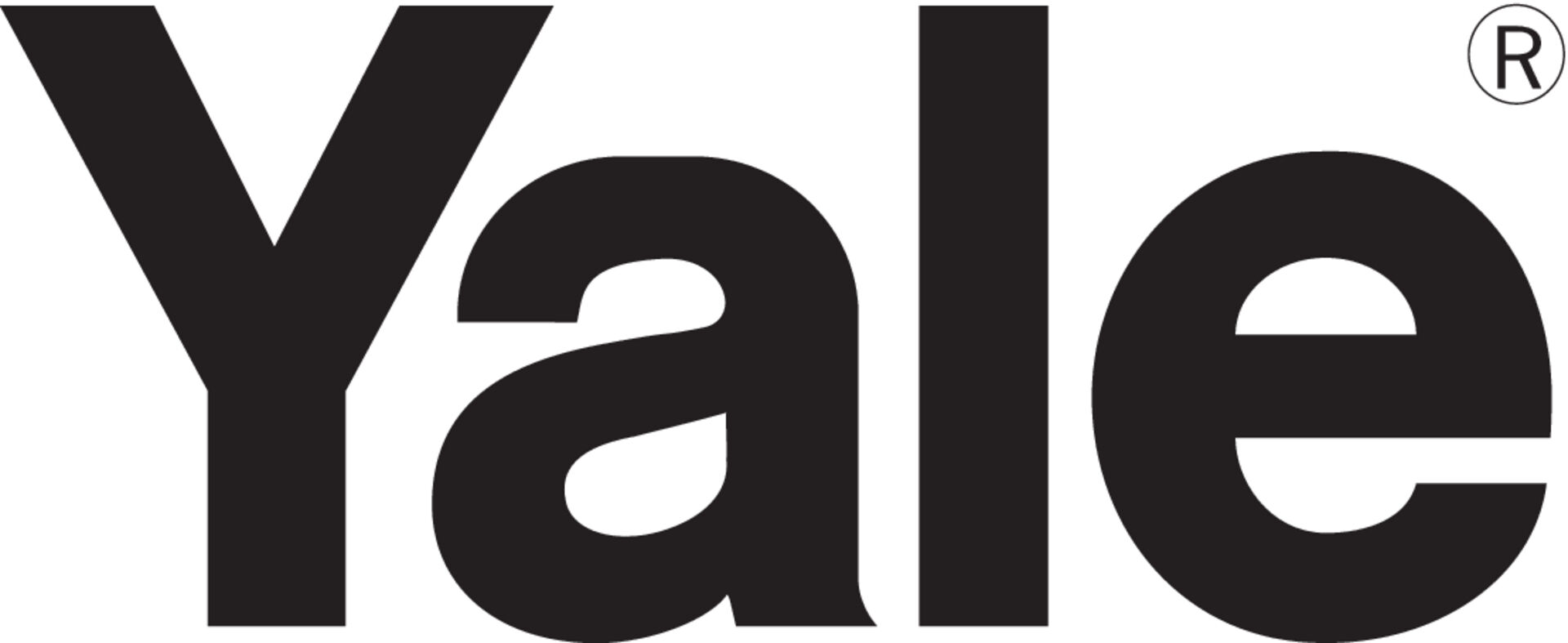 YALE Allzweckgerät Handy 250 kg Tragfähigkeit, 1,5 m Hub